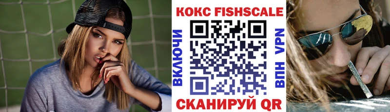 ссылка на мегу как войти  Ленинск-Кузнецкий  COCAIN FishScale  как найти  