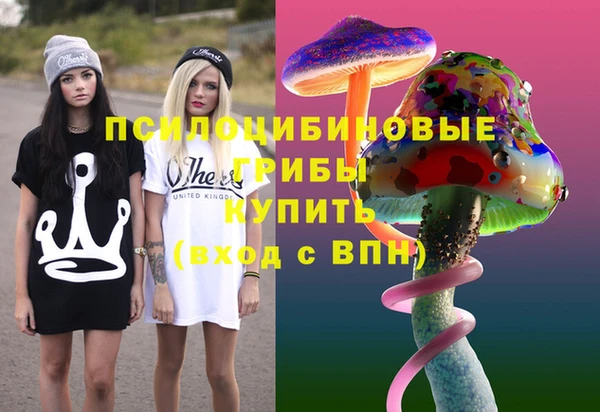 ПСИЛОЦИБИНОВЫЕ ГРИБЫ Ладушкин