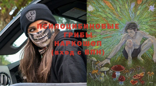 ПСИЛОЦИБИНОВЫЕ ГРИБЫ Ладушкин
