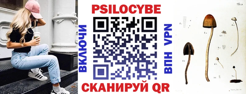где продают   Ленинск-Кузнецкий  Псилоцибиновые грибы ЛСД 