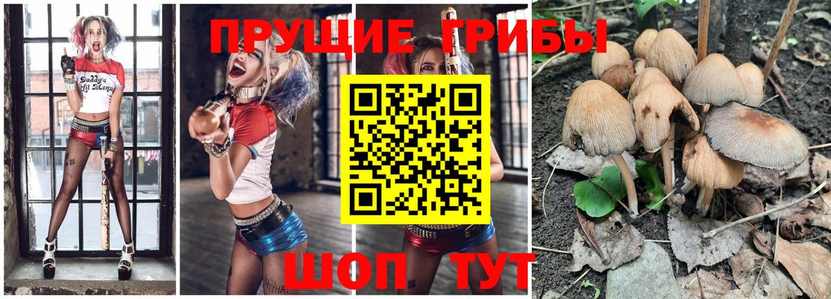 Галлюциногенные грибы Magic Shrooms Ленинск-Кузнецкий