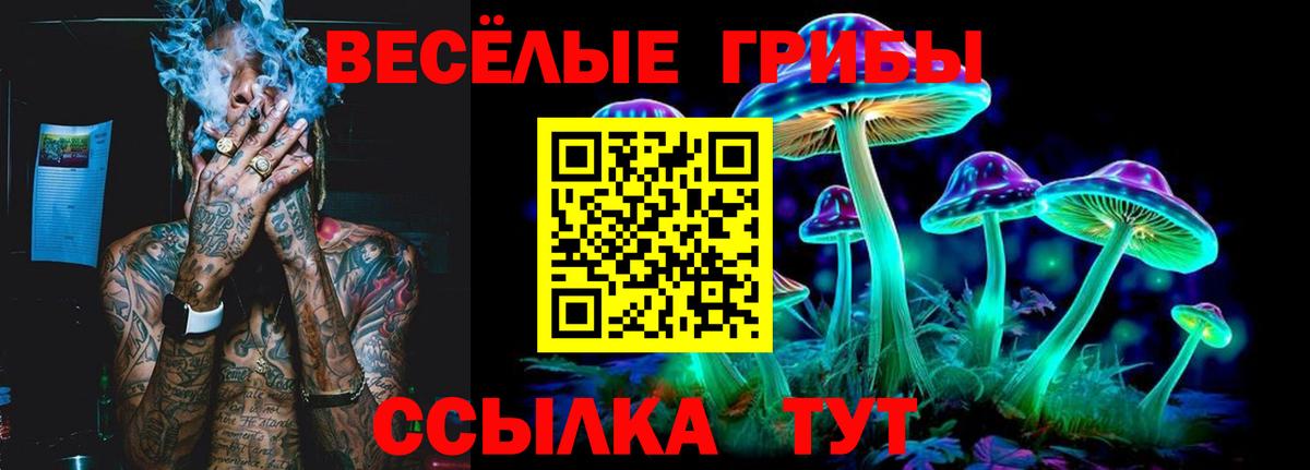 Галлюциногенные грибы Magic Shrooms  Вход с VPN  Ленинск-Кузнецкий 